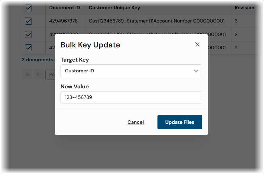 The Bulk Key Update window with a Target Key selected and new metadata value entered